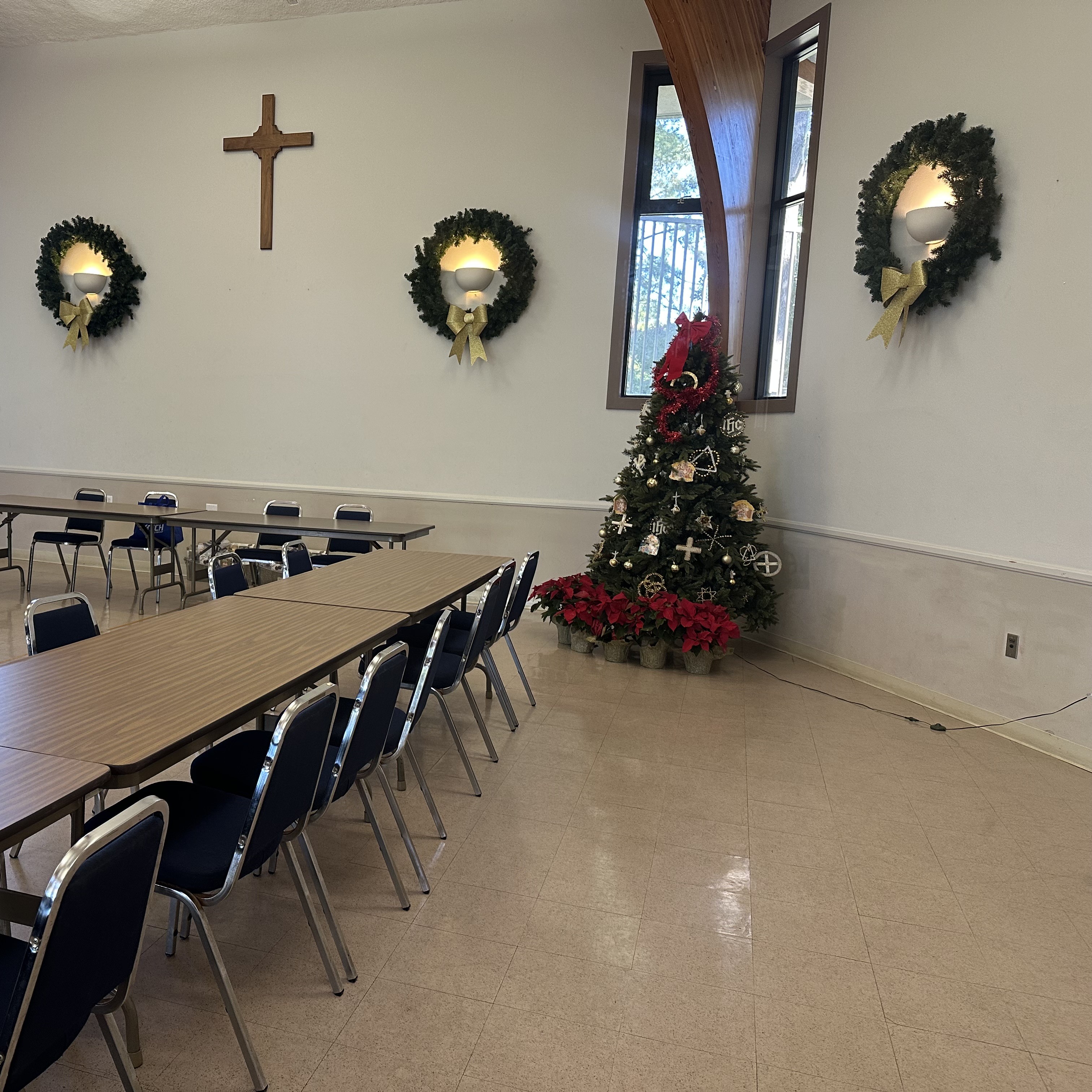 The Olive Press January 2026 Edition 44